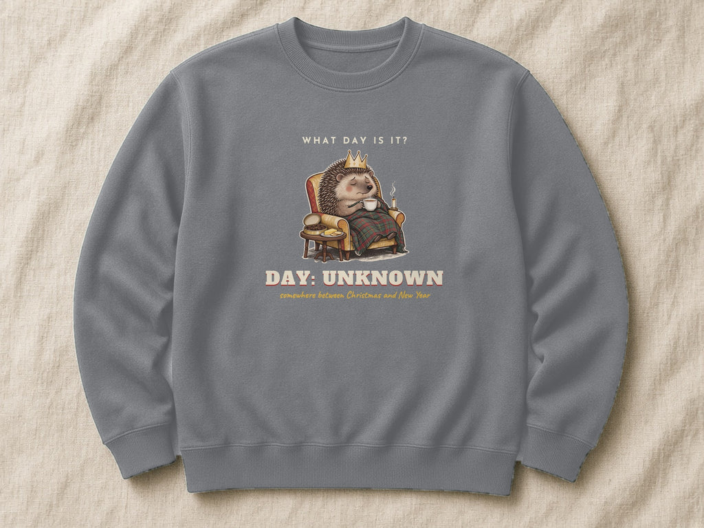 Day: Unknown sweatshirt – flat lay, Steel Grey
