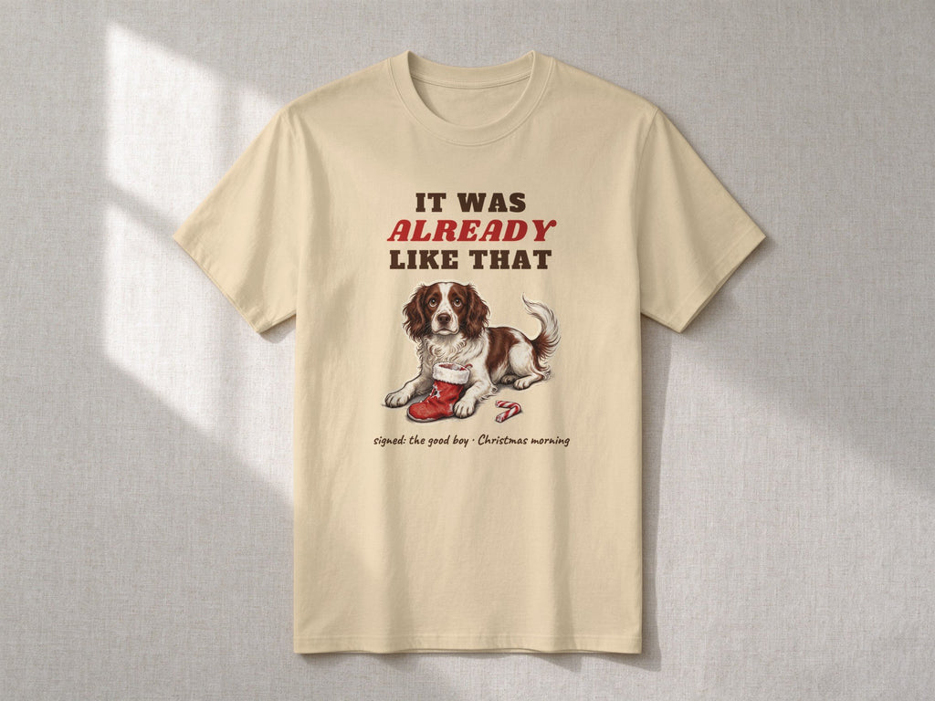 It Was Already Like That T-shirt – flat lay, Sand